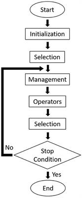 A New Genetic Algorithm Approach Applied to Atomic and Molecular Cluster Studies